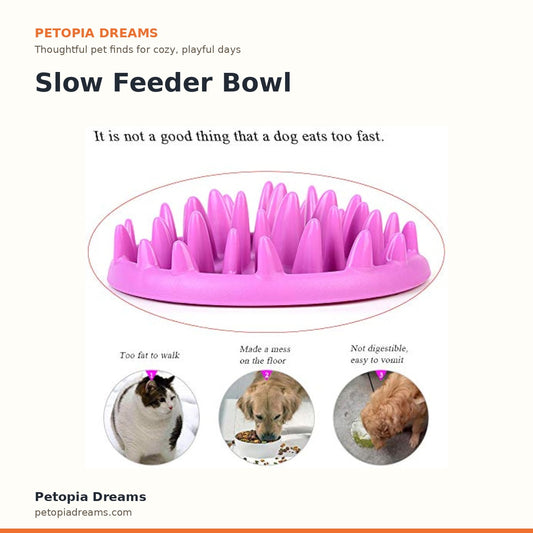Slow Feeder Bowl | Petopia Dreams
