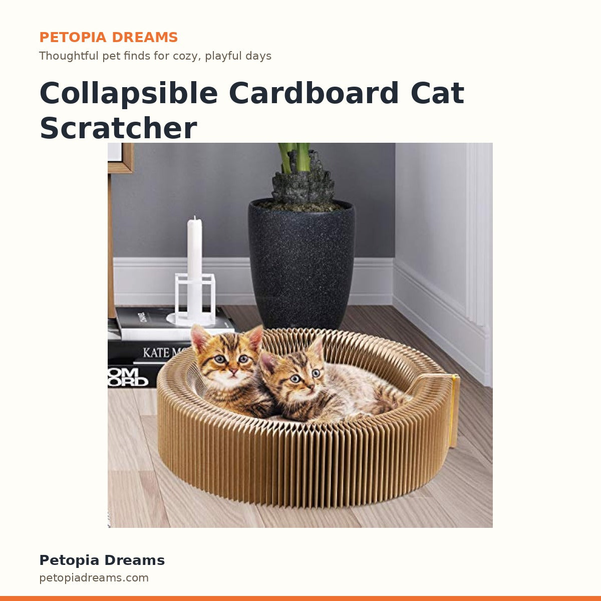 Collapsible Cardboard Cat Scratcher Lounge Bed | Petopia Dreams
