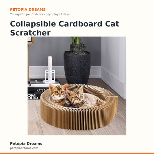 Collapsible Cardboard Cat Scratcher Lounge Bed | Petopia Dreams