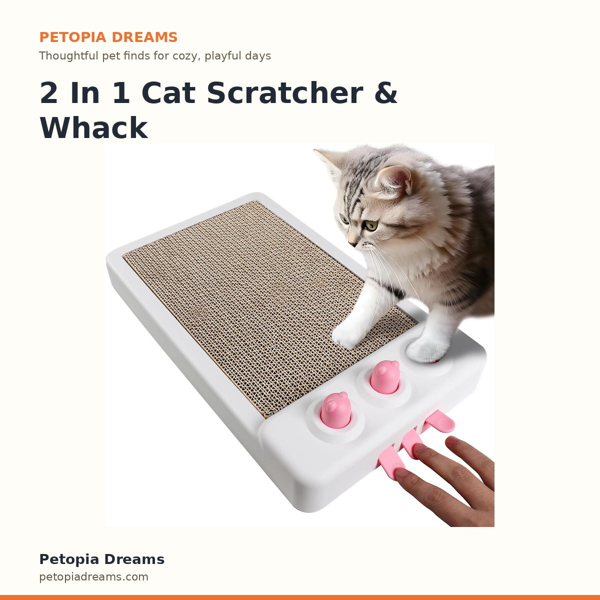 2 In 1 Cat Scratcher & Whack A Mole | Petopia Dreams