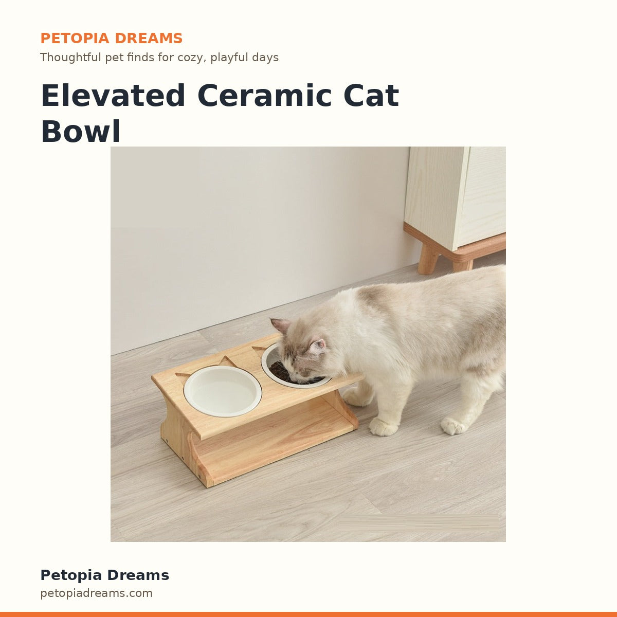 Elevated Ceramic Cat Bowl | Petopia Dreams