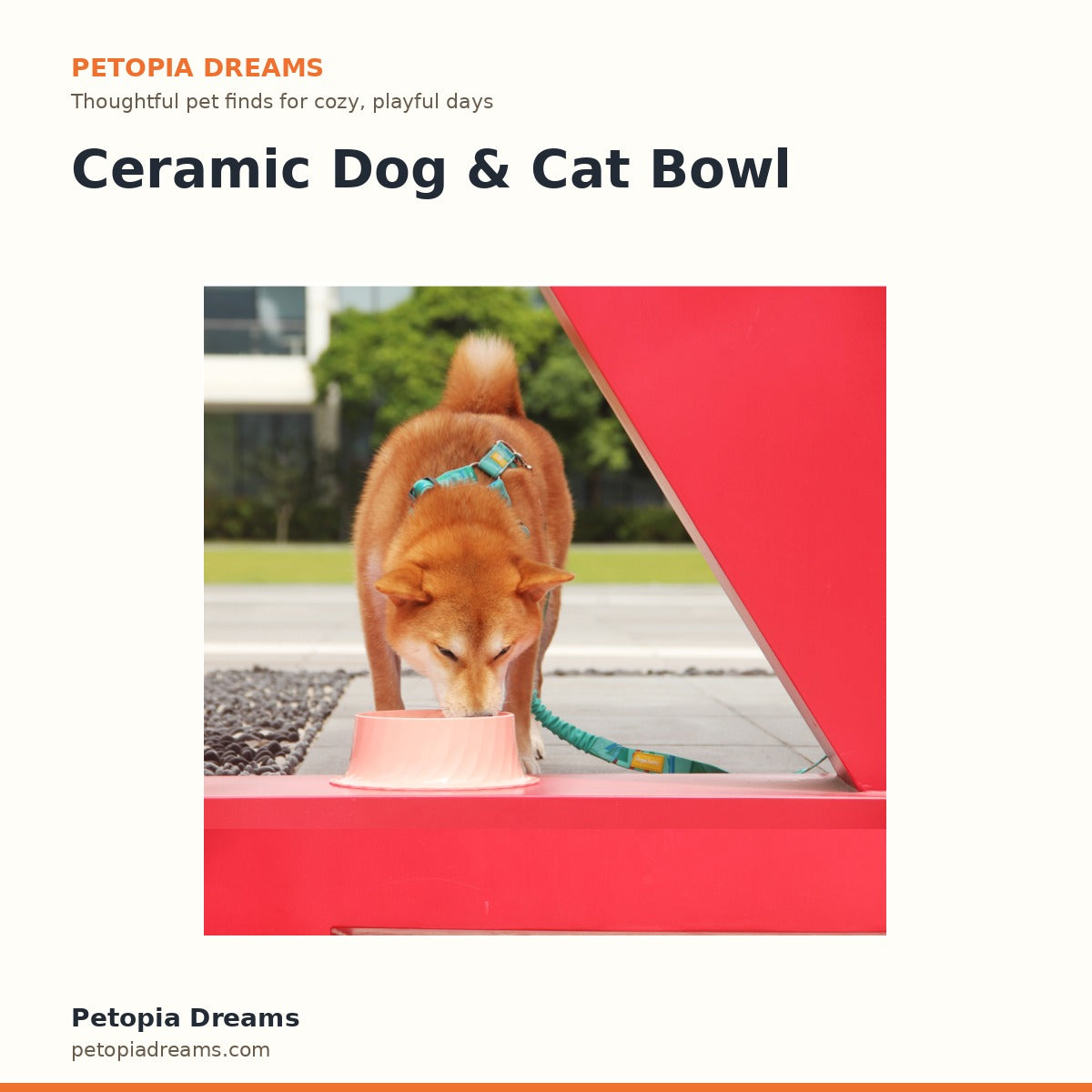 Ceramic Dog & Cat Bowl | Petopia Dreams