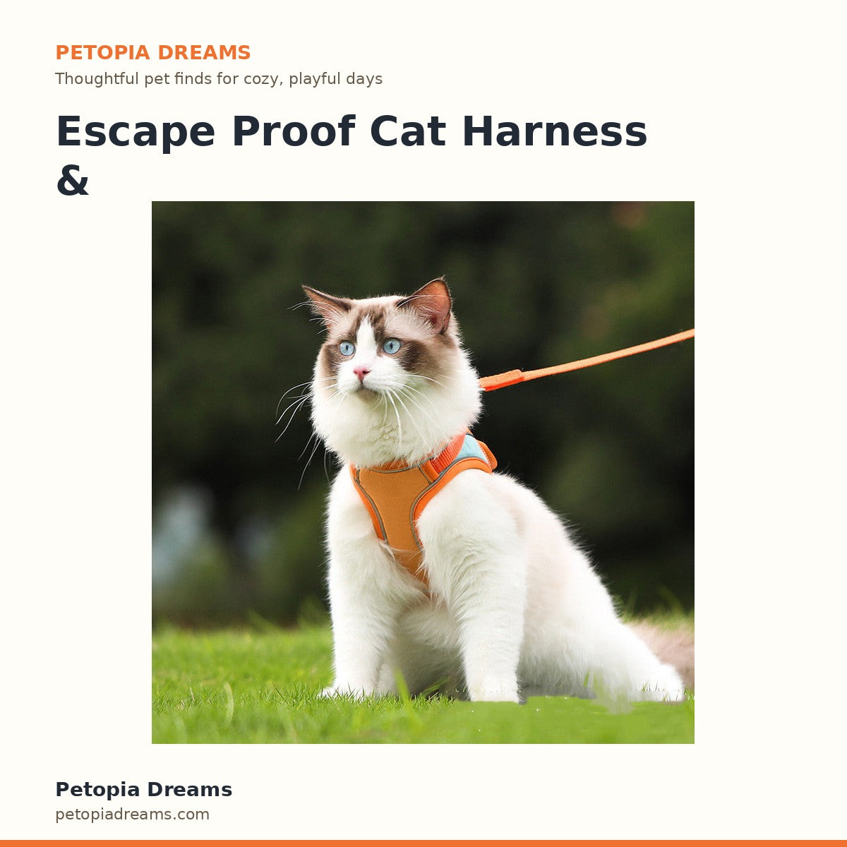 Escape Proof Cat Harness & Leash Set | Petopia Dreams
