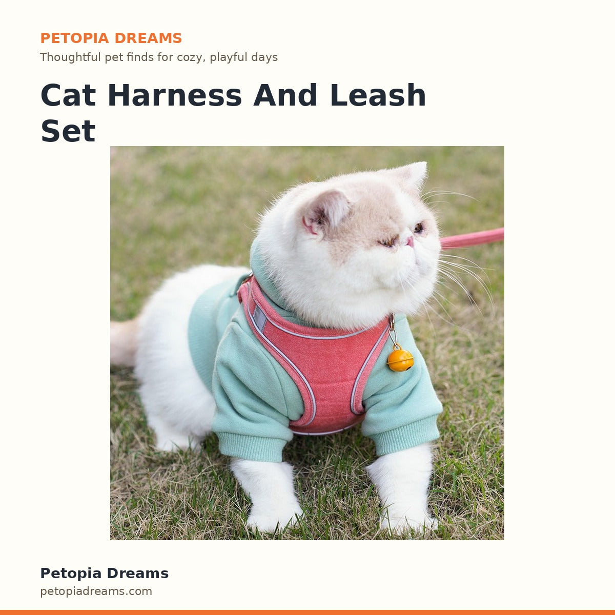 Cat Harness And Leash Set | Petopia Dreams