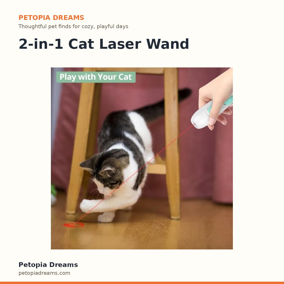 2-in-1 Cat Laser Wand | Petopia Dreams