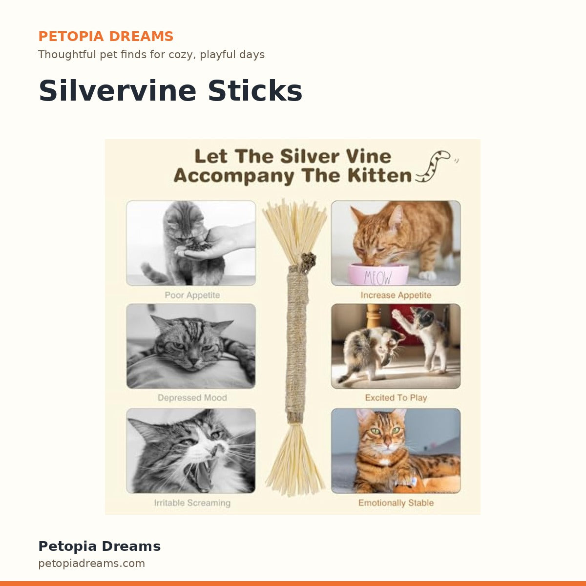 Silvervine Sticks | Petopia Dreams