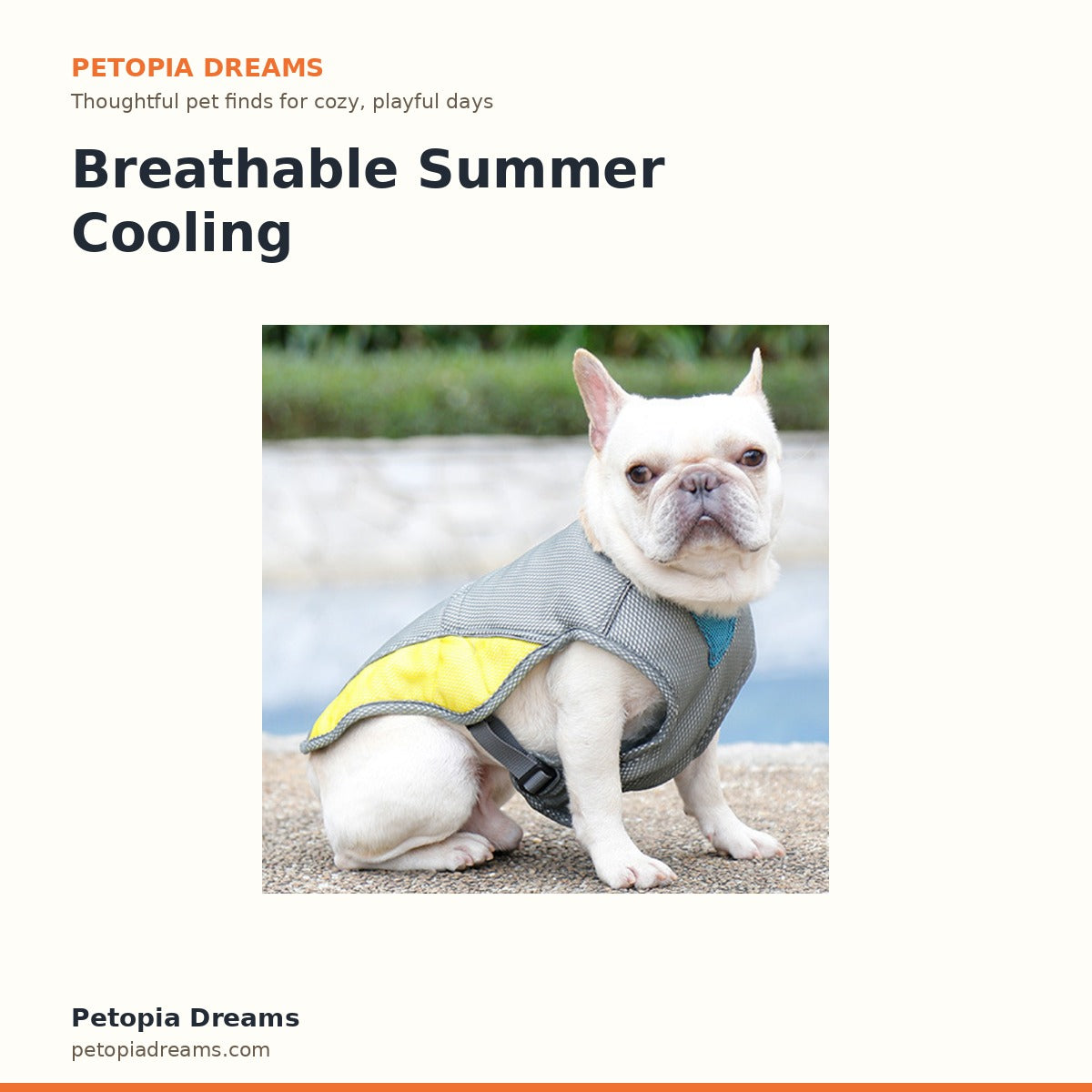 Breathable Summer Cooling Vest | Petopia Dreams