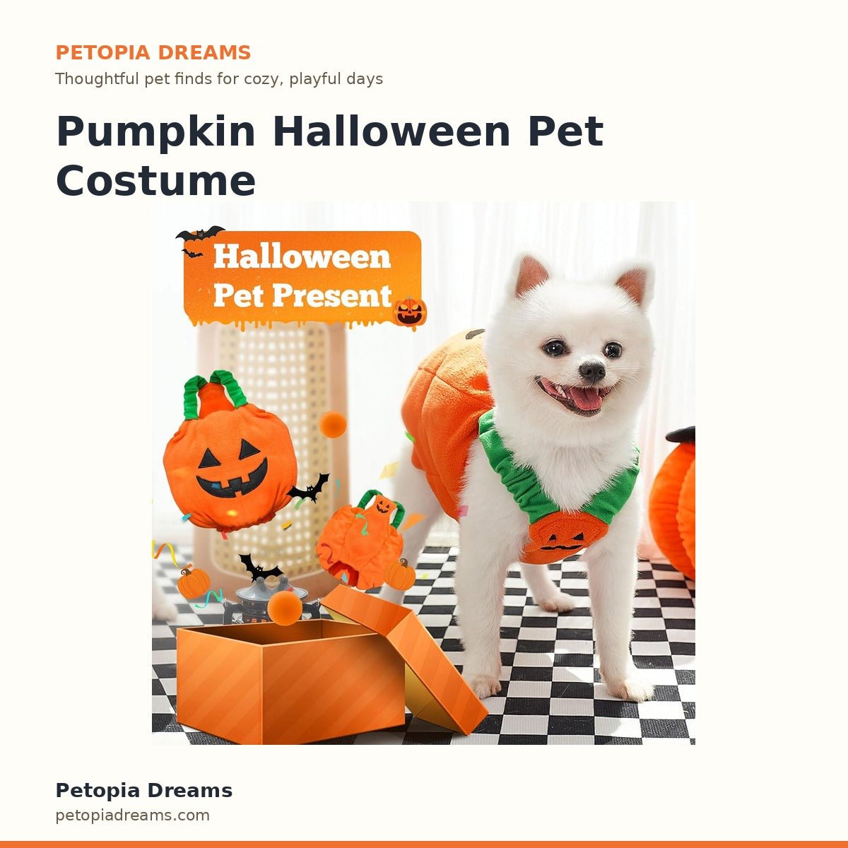 Pumpkin Halloween Pet Costume | Petopia Dreams