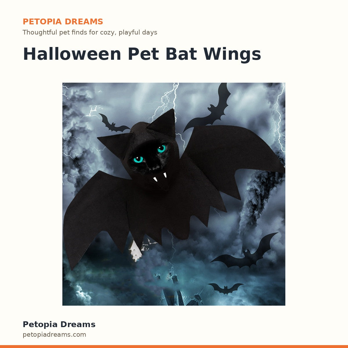Halloween Pet Bat Wings | Petopia Dreams