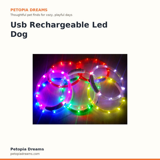 Usb Rechargeable Led Dog Collar | Petopia Dreams