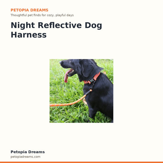 Night Reflective Dog Harness | Petopia Dreams