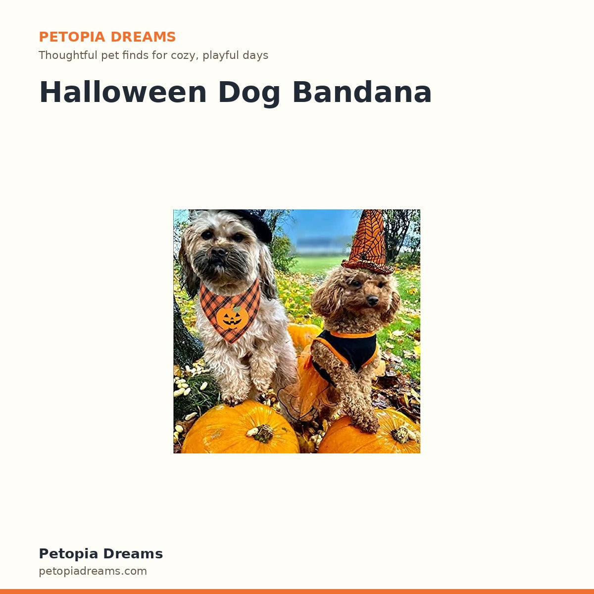 Halloween Dog Bandana | Petopia Dreams