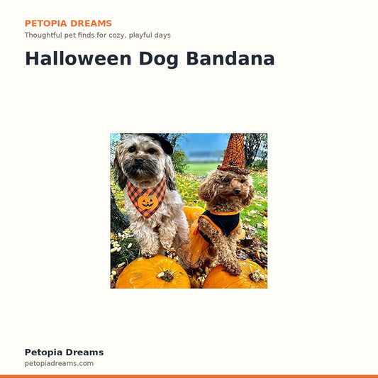 Halloween Dog Bandana | Petopia Dreams