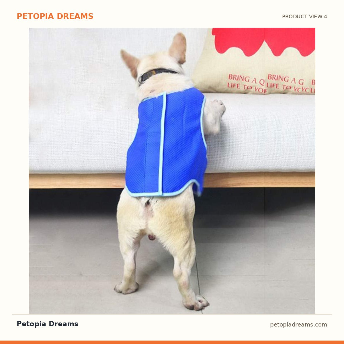 Additional product view of Dog Cooling Vest — Beat-the-Heat Summer Cooling Coat | Petopia Dreams