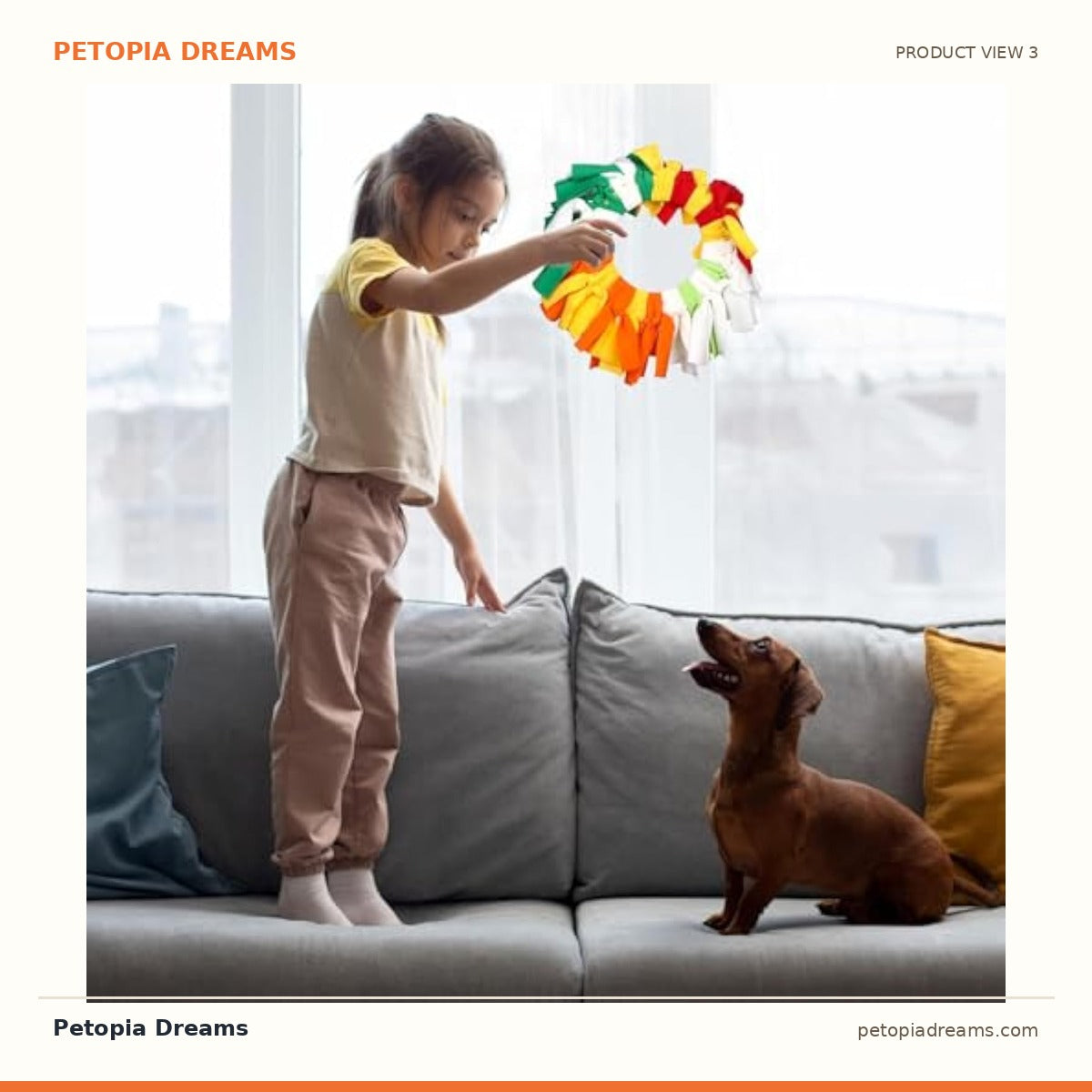 Additional product view of Snuffle Flying Disc Toy for Active Dogs | Petopia Dreams
