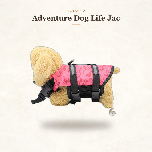 Adventure Dog Life Jacket — Safe Swimming Vest
