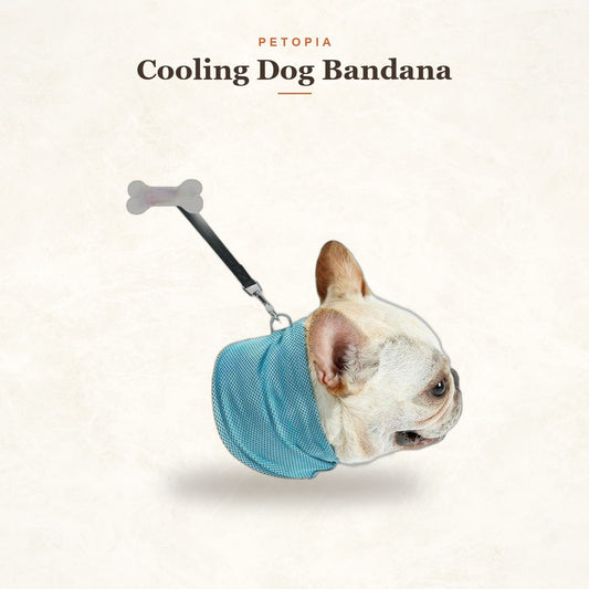 Cooling Dog Bandana — Instant Chill Summer Scarf