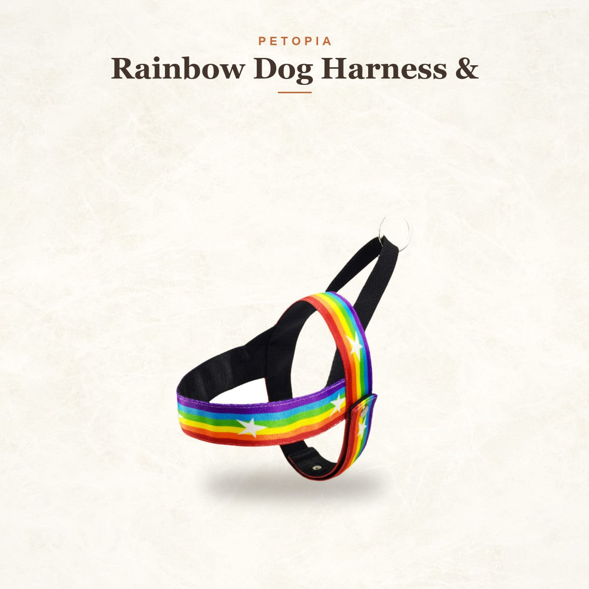 Rainbow Dog Harness & Leash Set for Small Dogs