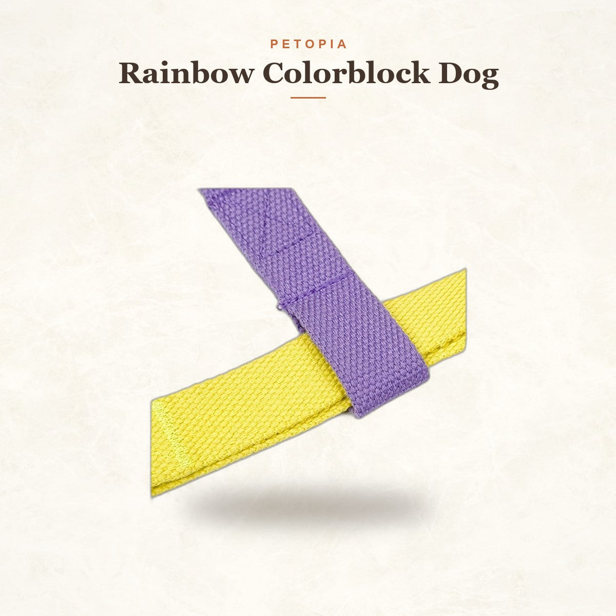 Rainbow Colorblock Dog Harness & Leash Set (No-Escape Vest)