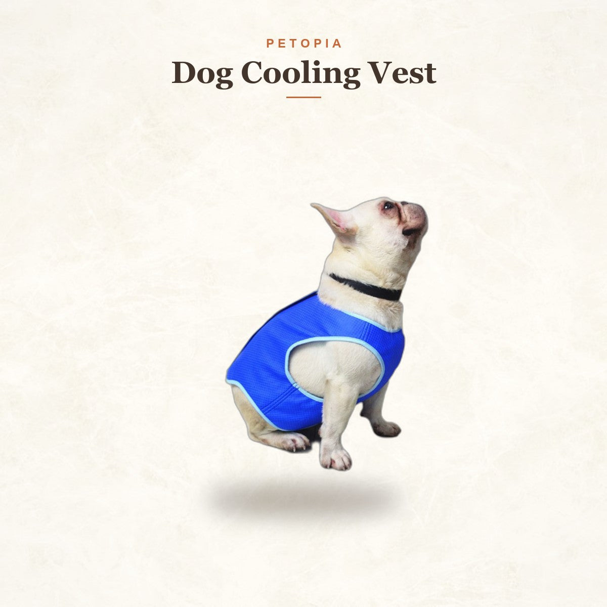 Dog Cooling Vest — Beat-the-Heat Summer Cooling Coat