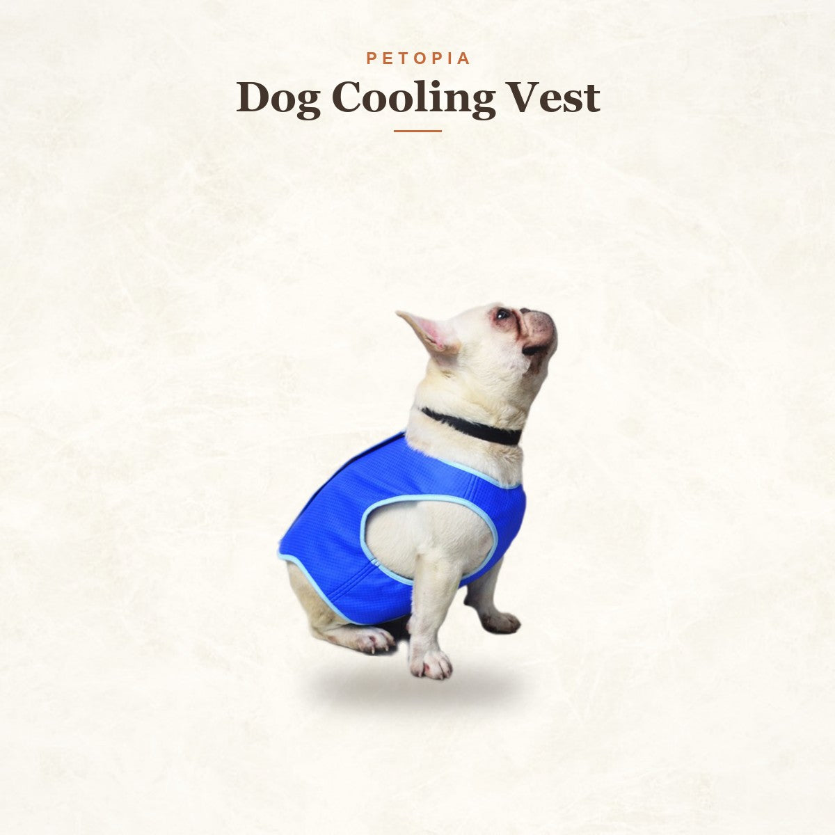 Dog Cooling Vest — Beat-the-Heat Summer Cooling Coat