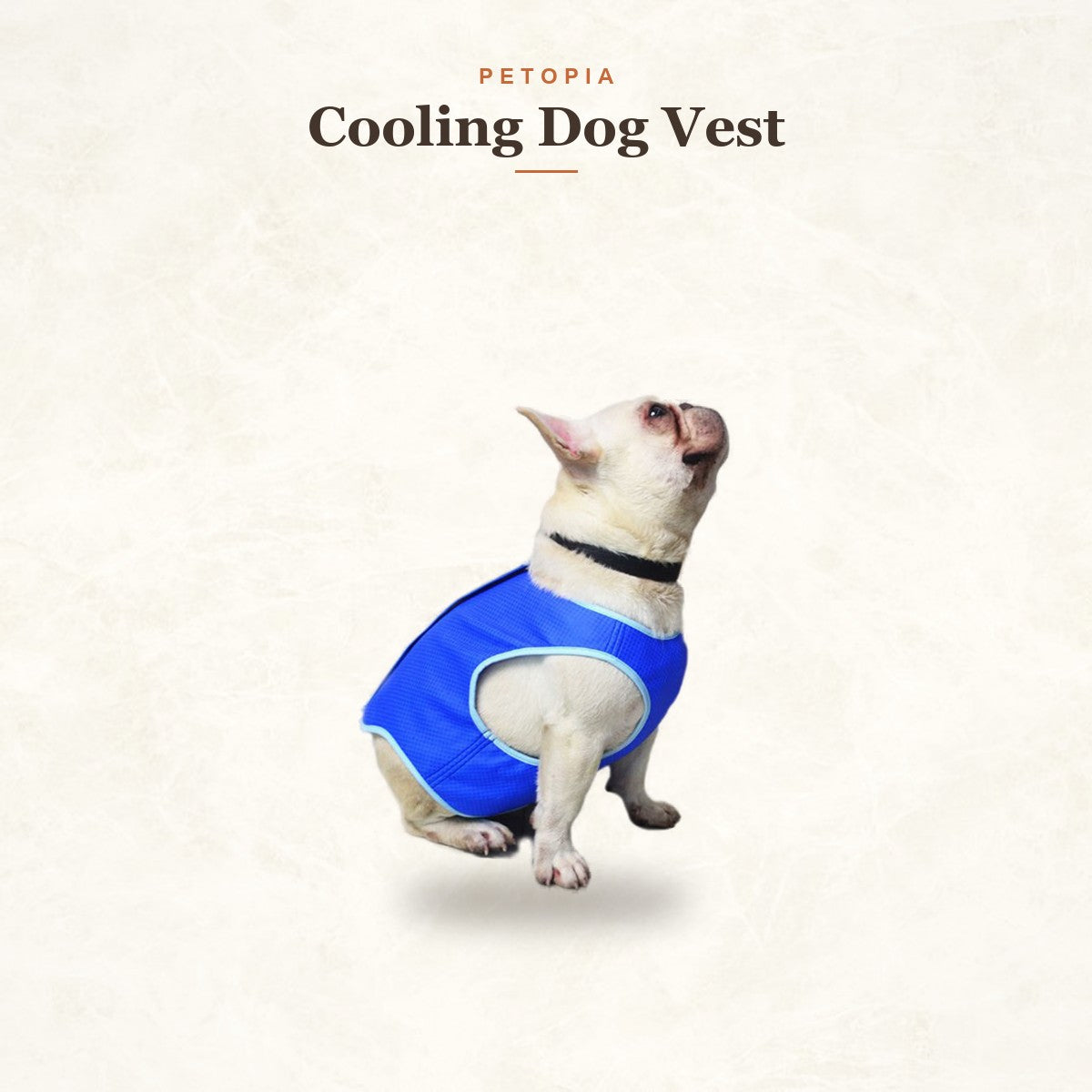 Cooling Dog Vest — Sweat-Absorbing Summer Shirt for Dogs