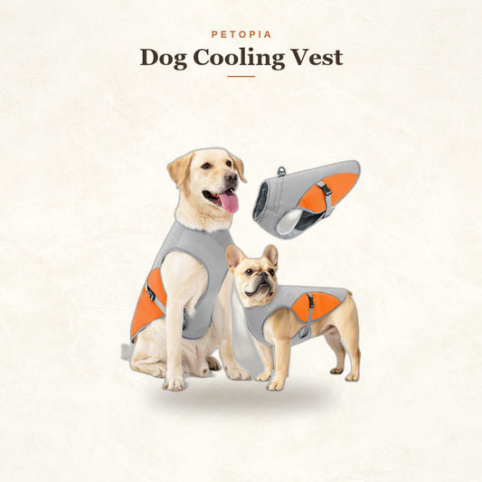 Dog Cooling Vest — Reflective Summer Jacket for Hot Walks