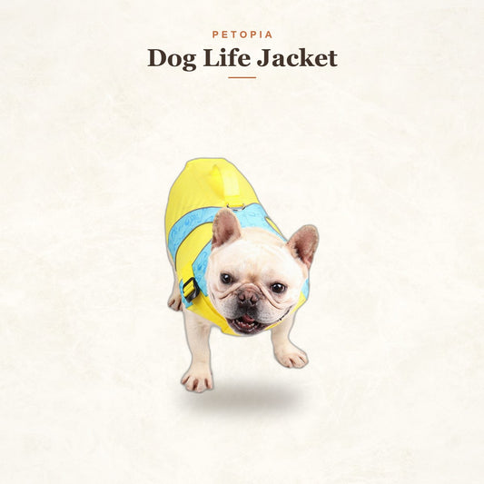 Dog Life Jacket — High-Visibility Swim Vest for Safe Water Play