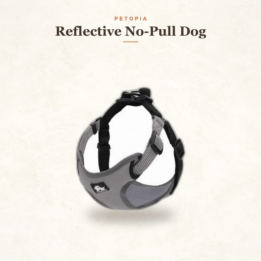 Reflective No-Pull Dog Harness Vest — Soft Padded Comfort