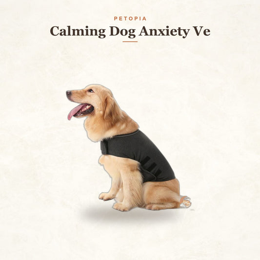 Calming Dog Anxiety Vest — Gentle Pressure Comfort Wrap