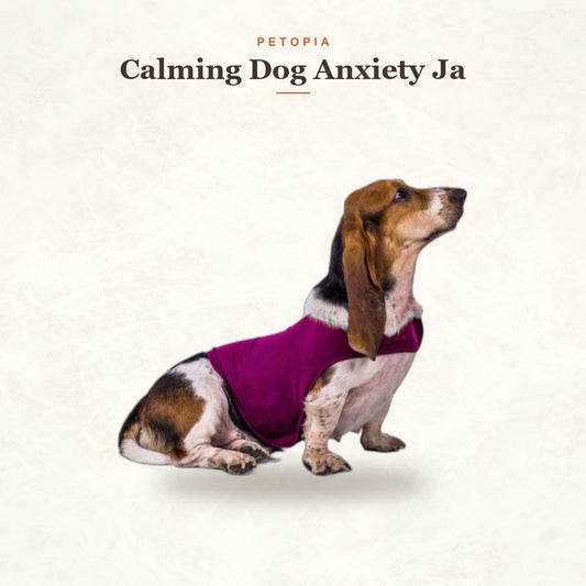 Calming Dog Anxiety Jacket - Cozy Cotton Comfort Vest