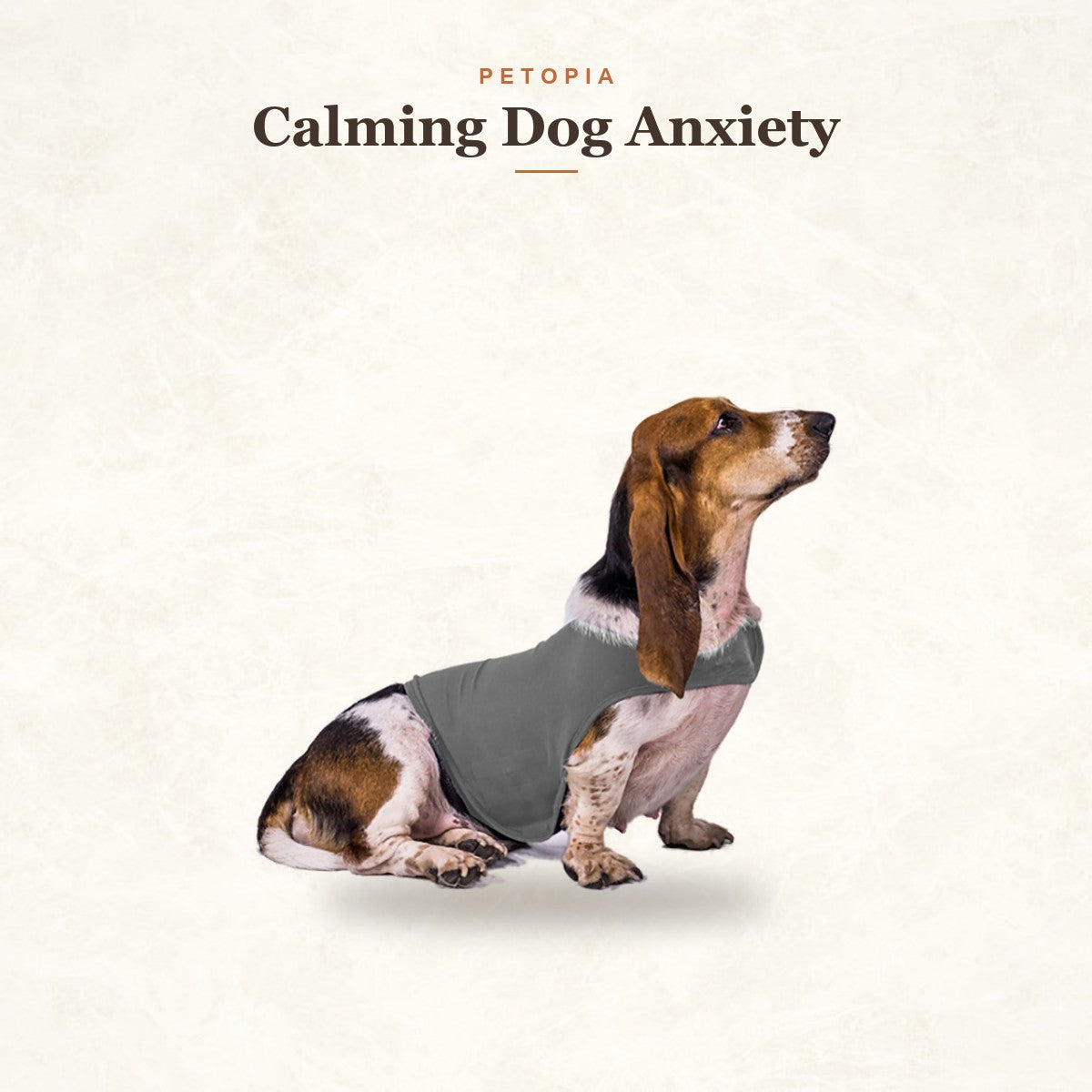 Calming Dog Anxiety Jacket - Cozy Cotton Comfort Vest