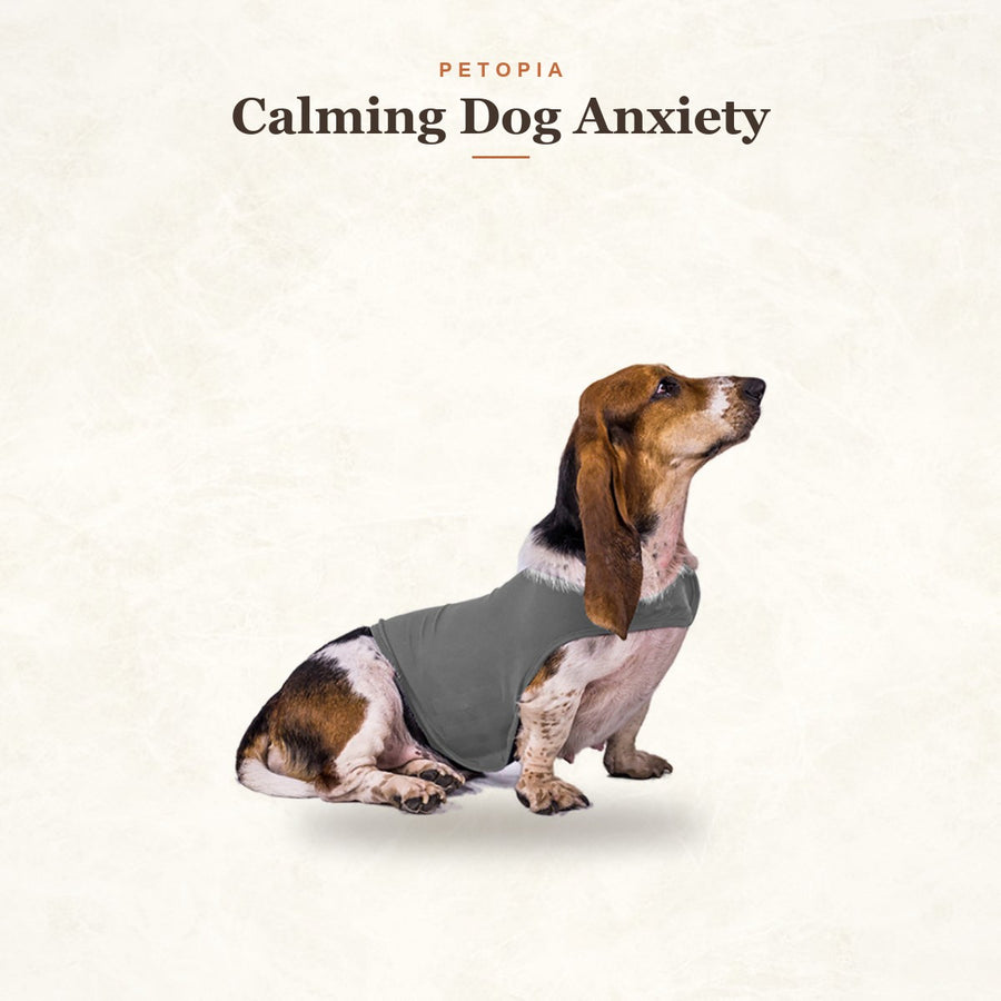 Calming Dog Anxiety Jacket - Cozy Cotton Comfort Vest