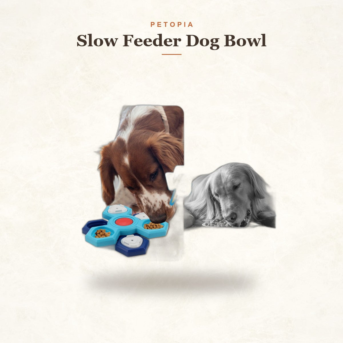 Slow Feeder Dog Bowl — 4-Layer Puzzle Maze for Fast Eaters
