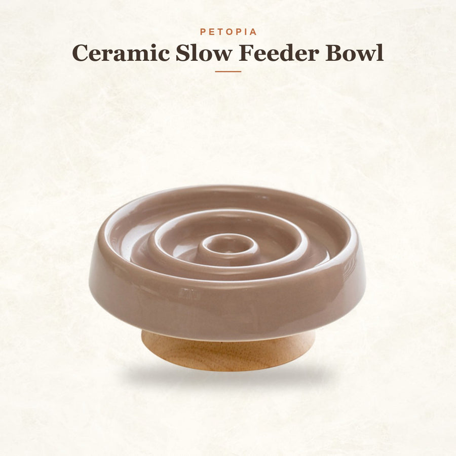 Ceramic Slow Feeder Bowl for Dogs & Cats — Anti-Gulp Maze