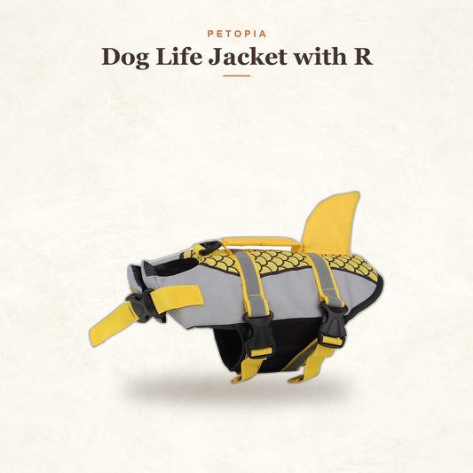Dog Life Jacket with Rescue Handle — Shark Swim Vest
