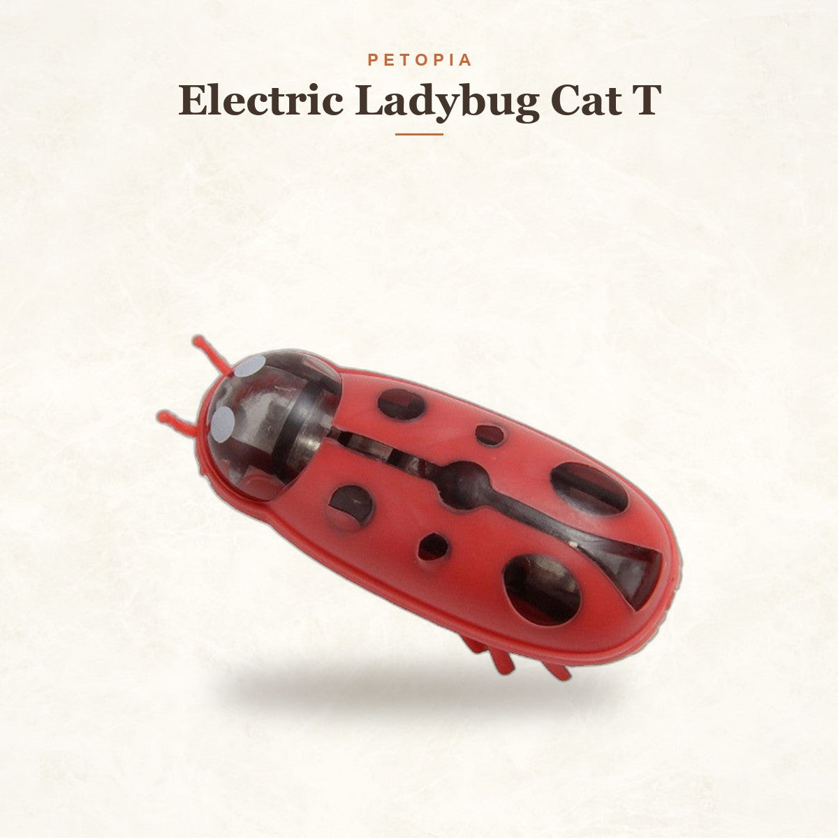 Electric Ladybug Cat Toy — Self-Moving Interactive Fun