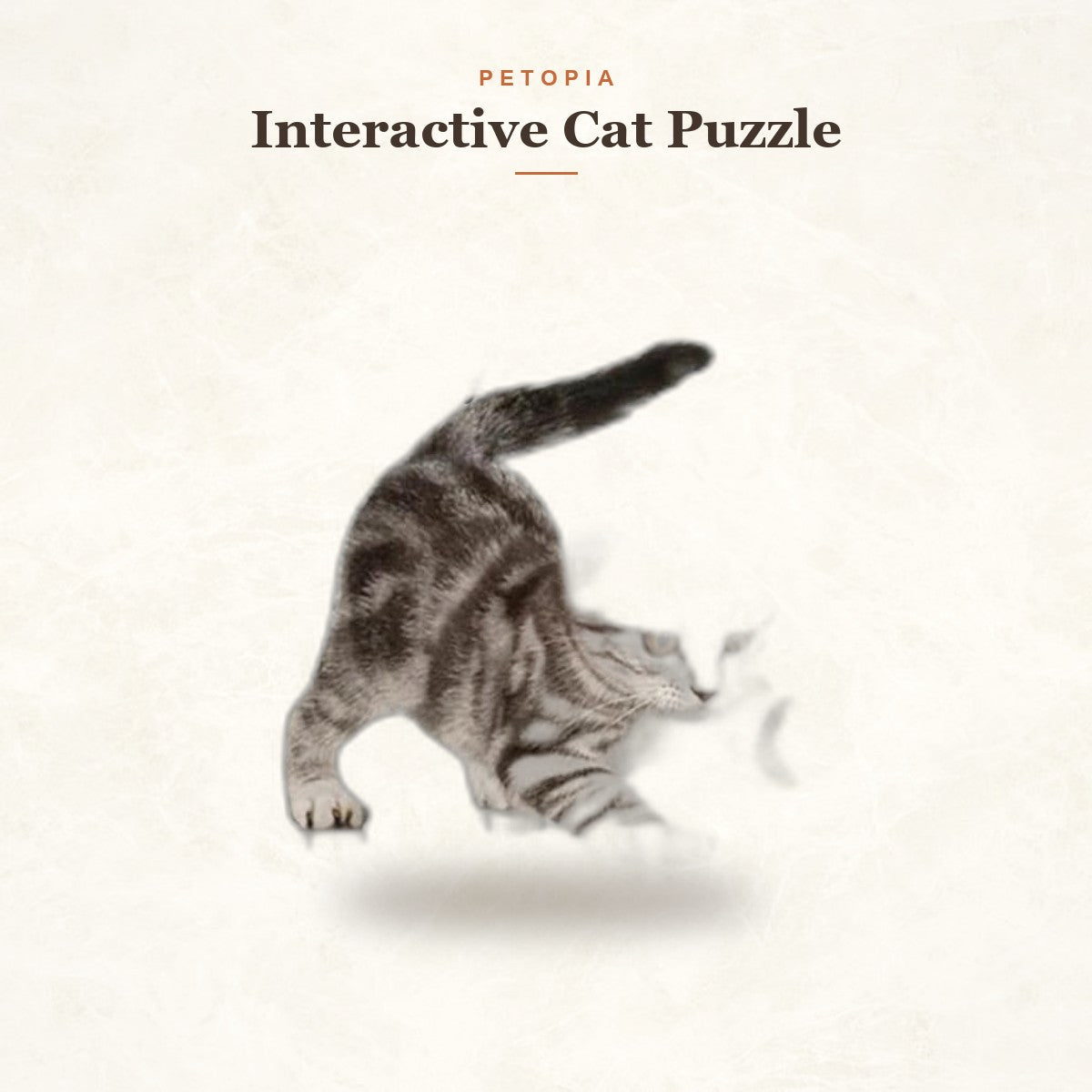 Interactive Cat Puzzle Toy & Slow Feeder for Bored Indoor Pets
