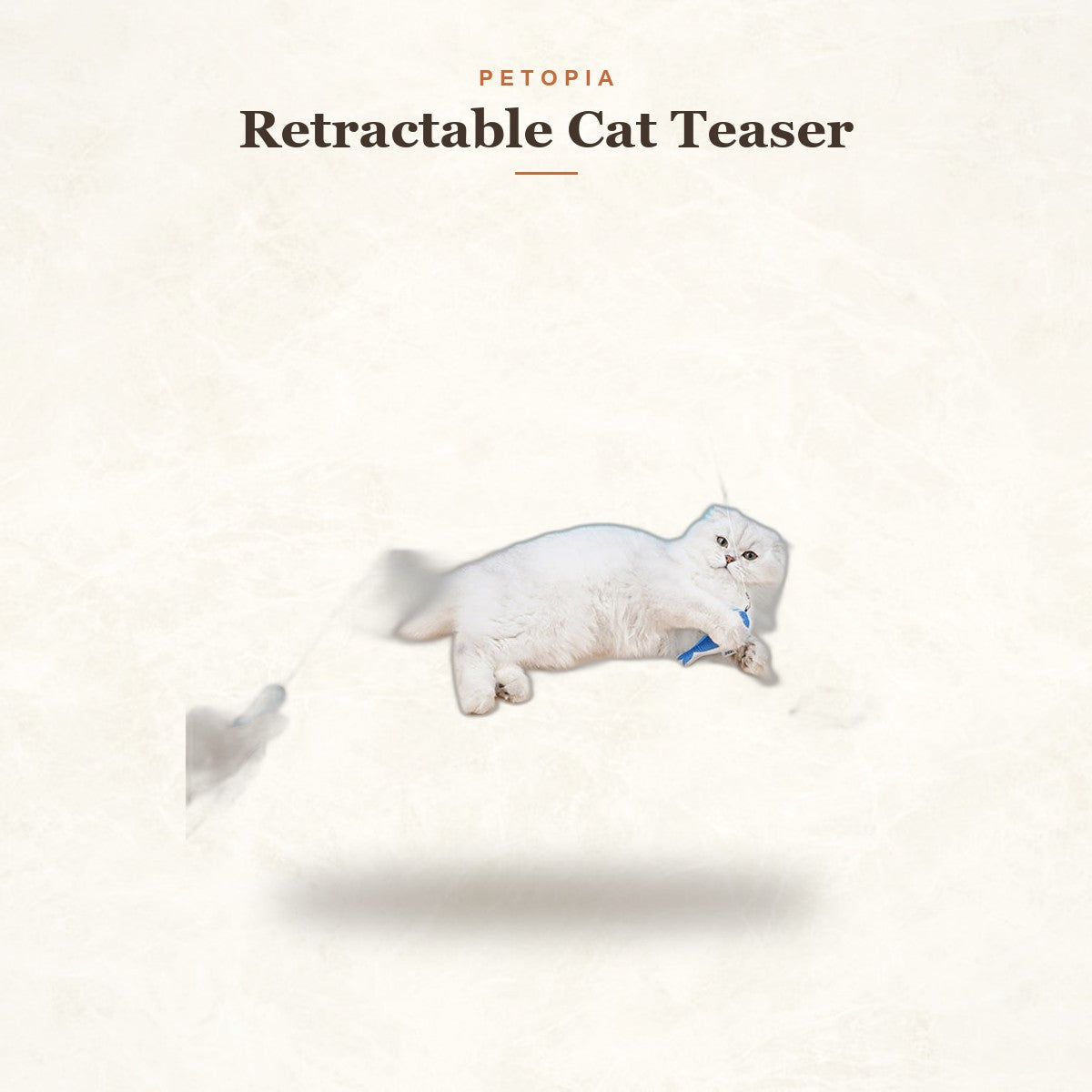 Retractable Cat Teaser & Molar Chew Toy for Playful Cats