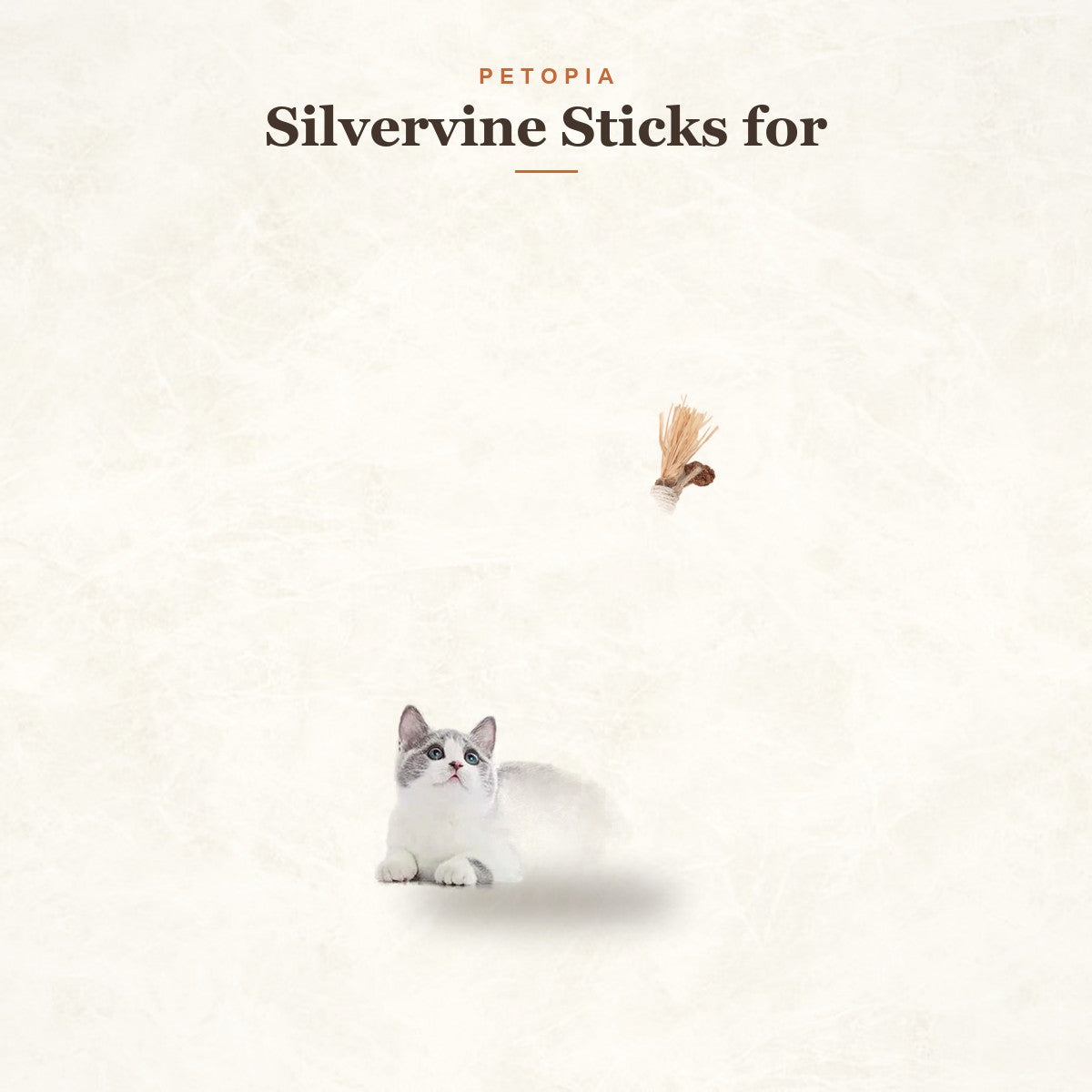 Silvervine Sticks for Cats — 3-Pack Natural Dental Chew