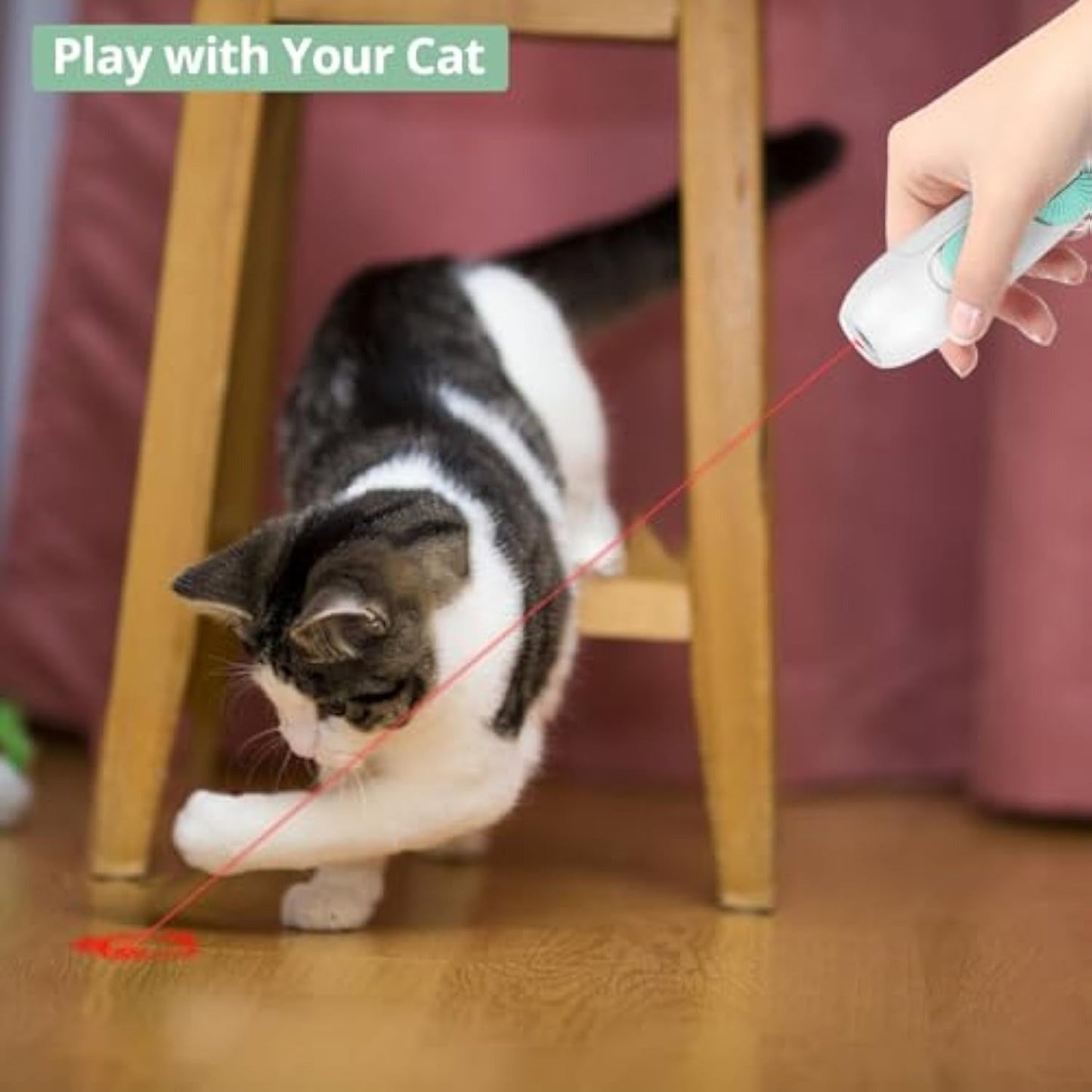 2-in-1 Cat Laser Wand product view 1