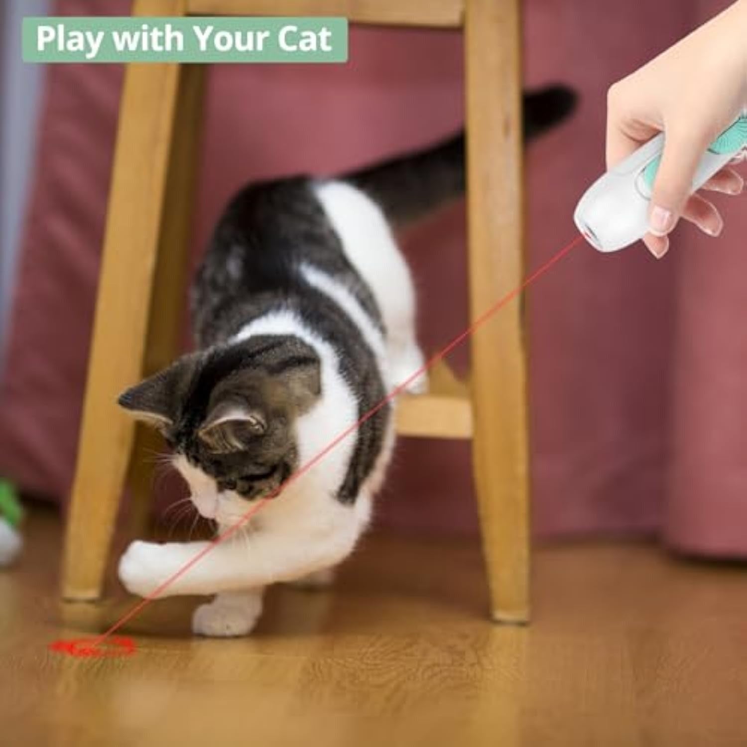2-in-1 Cat Laser Wand product view 1